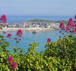 st ives beach