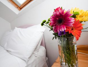 Holiday-Cottages-Flowers-Kenegie-Manor-Self-Catering-Penzance-Cornwall-07