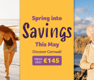 spring into savings banner