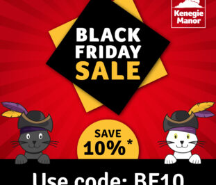 KM_Black Friday 2025_Square