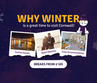 Winter Breaks Banner