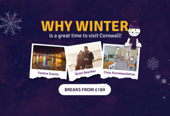 Winter Breaks Banner